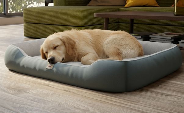 Komfortables Hundebett für jeden Bedarf