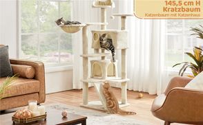 Der Tägliche Lieblingsort Ihrer Katze
