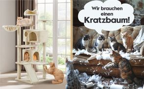 Zur Krallenpflege
