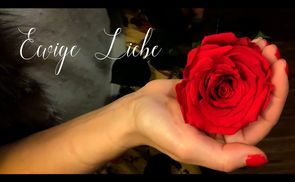 Infinity Rosen ein Symbol für ewige Liebe