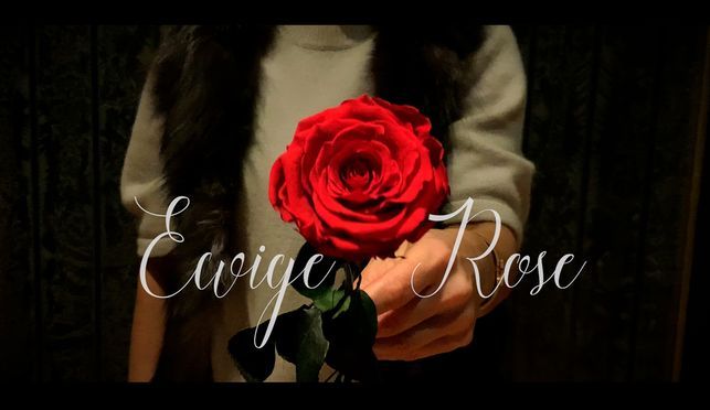 Eine zauberhafte ewige Rose ein romantisches Geschenk für den Valetinstag
