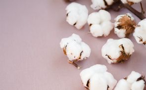 Hochwertiges Material