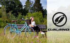 sachsenrad klapprad SachsenRAD E-Folding Bike Klapprad F6 Safari 20" Zoll StVZO Fatbike |  Interne Kabelfhrung