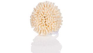 Pompom Schwamm