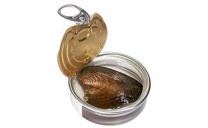 Behältnis mit echter Zuchtmuschel