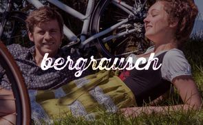 Trekking & Citybikes von Bergrausch