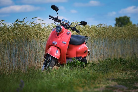 Retro Motorroller MiniMe 2.0 in Weiß, Schwarz oder Grün Matt Lackierung