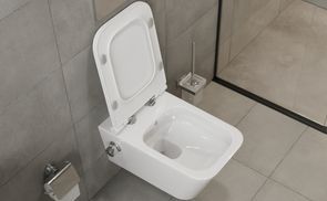 Hygienisches Tiefspül-WC mit Lotus-Effekt:
