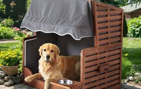 Schattiges Plätzchen für unsere Fellfreunde. 