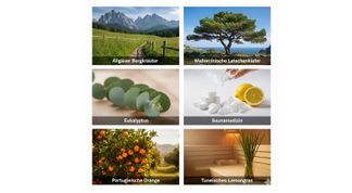 Ihre Vielfalt: 6 reine, naturreine Düfte