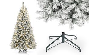 Tannenbaum mit Beleuchtung