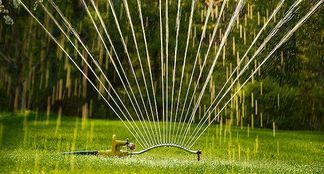 Ein wirtschaftlicher Profi