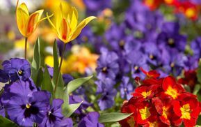 Entdecken Sie noch heute unsere Bistrosets