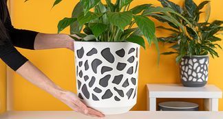 FARBBELEBIGE KOMBINATIONSMÖGLICHKEIT