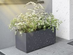 WETTERFEST & LANGLEBIG