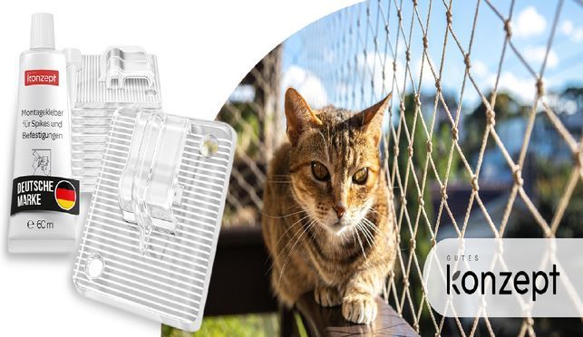 Sicheres Katzennetz – ganz ohne Bohren!