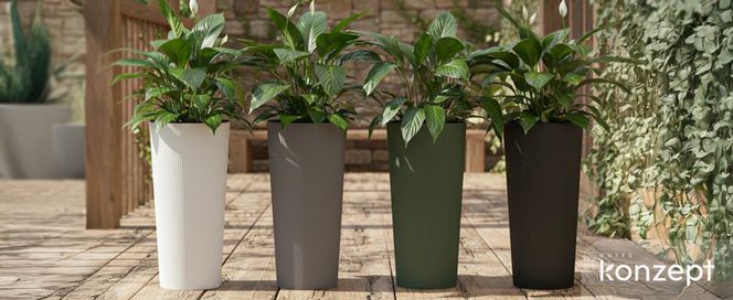 KONZEPT Blumentopf Hoch (57cm) mit Einsatz.