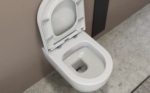 Inklusive WC Sitz abnehmbar und mit Softclose Mechanismus 