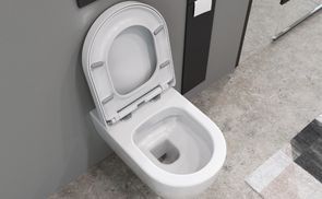 WC-Sitz aus Duroplast mit Absenkautomatik: