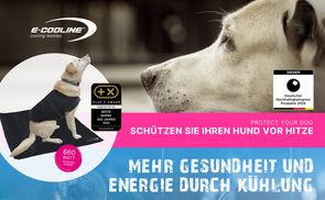 EFFEKTIV KÜHL ABER ANGENEHM TROCKEN