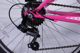 Original Shimano drivetrain