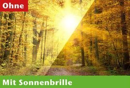 Für eine bessere Sicht im Straßenverkehr