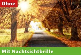 Besseres Sehen durch die Nachtsichtbrille