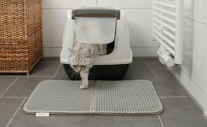 Verschiedene Varianten