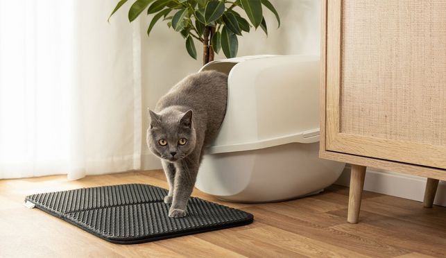 lionto Katzenstreumatte