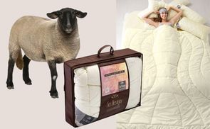 Ein Schlafklima der Spitzenklasse durch Schafwolle