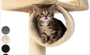 Einfach mal abhängen