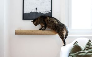 LucyBalu Kratzsule CATWALK Kratzstamm, (fr Katzen, zur Krallenpflege),  Kratzstamm austauschbar