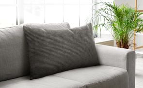 Ein Blickfang für Zuhause