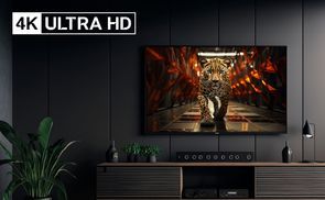 Mehr Details durch brillante 4K