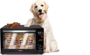 Kulinarische Vielfalt erleben