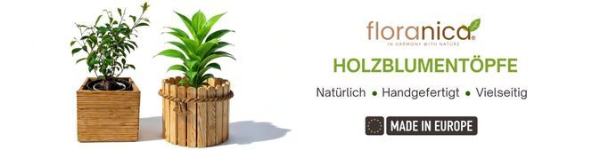 stabile blumenkästen für balkon Flexi-Design Blumenkasten mit Sichtschutz für Balkone – Potflex main image 0