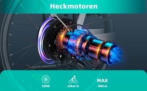 250W Rear Motor