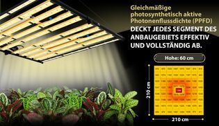 Perfekte Ausleuchtung für optimale Ergebnisse