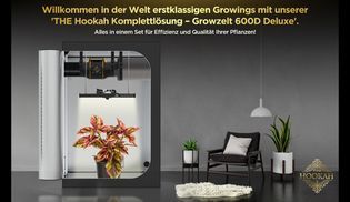 All in One Lösung von THE HOOKAH –Premium Qualität seit 2017