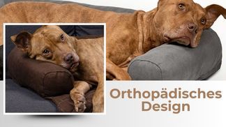 Geborgenheit für Ihren Hund