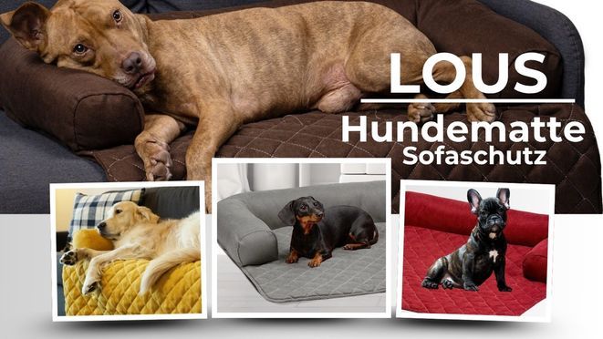 Komfort und Schutz für Sofa und Vierbeiner