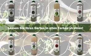 obi kirschlorbeer dünger Kirschlorbeer Dünger