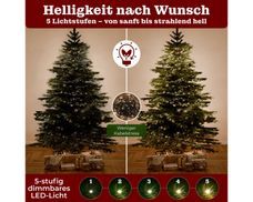 knstliche monstera bltter Knstliche Monstera - Karl | 80 cm