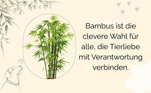 Bambus statt Plastik – weil’s einfach besser ist.