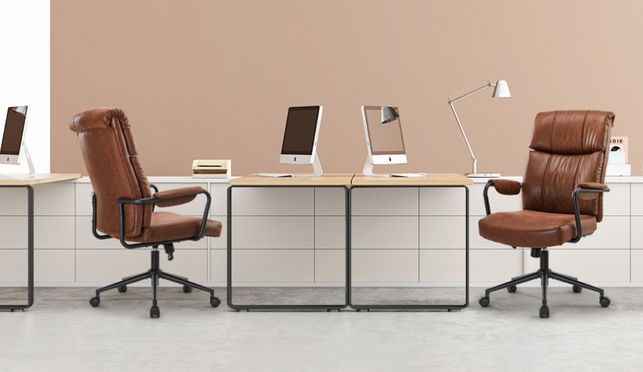 IWMH Stuhl für Büro und Home