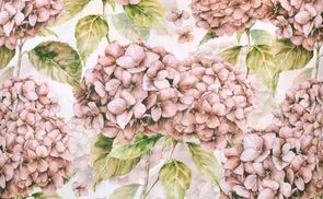 beties Landlust Hortensie burgundy rose