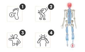 Unterstützt Haltung und Mobilität