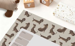 Dein kleiner Freund hilft dir im Alltag!