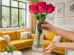 Stabiles, kristallklares Glas und edles Design