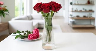 DEKORATIVE VIELSEITIGKEIT